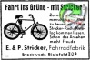 Stricker 1936 872.jpg